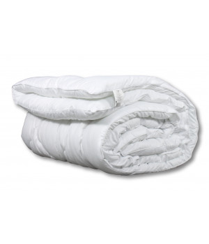Одеяло из лебяжьего пуха Альвитек "Адажио-Эко" 172х205 классическое-всесезонное